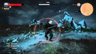 The Witcher 3: Wild Hunt Eredin Boss Fight