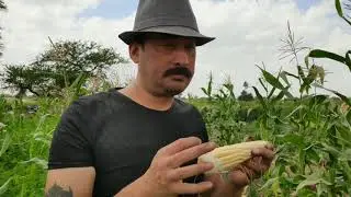 How does an Indian farm look like? | Rural life|