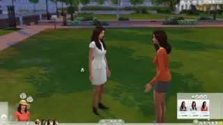 the sims 4 crashes