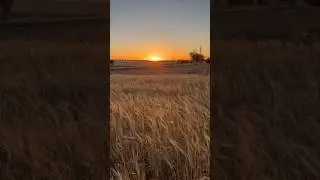 apocalypse 💔. #short #shorts #naturelovers #sunset # #capcut #love #motivation