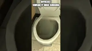 officer i swear it was singing #funny #skibiditoilet #peepeepoopoo