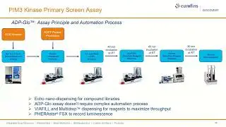 An efficient and effective PIM3 kinase