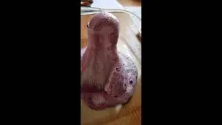 Извержение и много пены! Карантинный опыт 1#