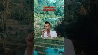 GUS BAHA // GORO GORO KELAKUANMU