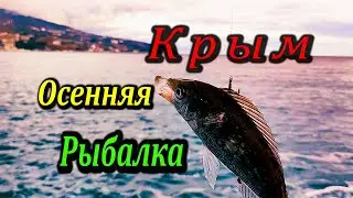 🔴Совет Для Начинающих Ловить на Пилькер. Морская Рыбалка в Крыму. Новый Спиннинг, Ловля Саргана.