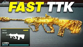 the STB 556 is the SECRET META in SEASON 5 WARZONE (Best STB 556 Class Setup)