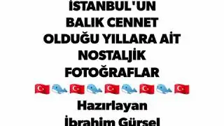 İSTANBULUN BALIK CENNETİ OLDUĞU YILLARA AİT NOSTALJİK FOTOĞRAFLAR