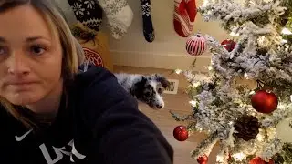 She Won't Let Me Wrap Presents! | Vlogmas