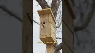 Что я бы не делал в прошлом?