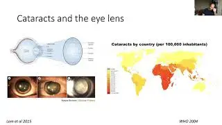 2020-09-29 ICMRBS ECR Webinar: Alex Guseman, Chris Waudby