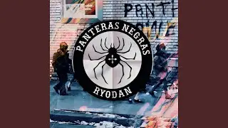 Panteras Negras
