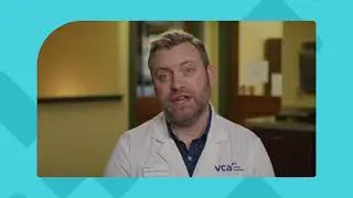 What is ringworm?