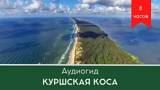 🎧 Аудиогид Куршская коса страна гнёзд и танцующих лесов