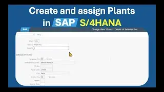How to create a PLANT and STORAGE LOCATION in SAP S/4HANA
