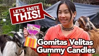 Gomitas Velitas - Gummy Candles - Let’s Taste This! Candies Tolteca  Mexican Candy