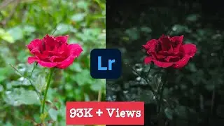 LIGHTROOM TUTORIAL : Moody Flower Editing || Dark Black|| Lightroom Mobile Editing ||