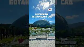 Ботанический сад в Корее #koreavlog #корея #кореявлог