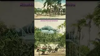 SP Antigo 1910 Jardim Luz #shorts #sãopauloantiga