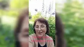 Клип по субботам. Изучаем продажи и коммуникацию по фильмам.