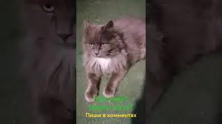 Это Ерофей 