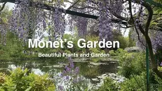 Monet's Garden - Beautiful Plants and Gardens