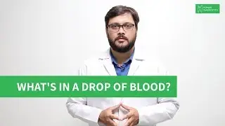 Why Do Doctors Ask For A Blood Test? | Humain Diagnostics