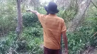 talampau somak kan di lantak tahabun