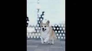 Лааадно, вот вам эдит) 