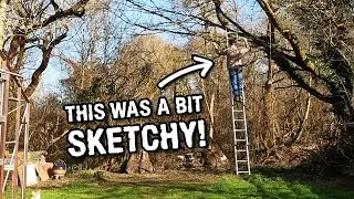 Dangerous trees and February planting!