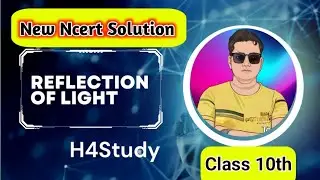 Reflection of Light|Light Reflection|Class 10 Physics Chapter 11 Text book Ques Answer|Physics MCQ