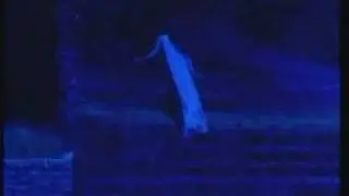 Mike Oldfield - Moonlight Shadow