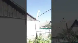 испытание самодельного водяного насоса #shorts