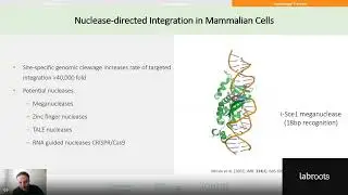 Beyond affinity: antibody discovery, optimization, and developability screening from mammalian....