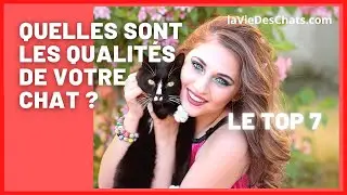 Quelles sont les qualités d'un chat pour vous ? 🤗