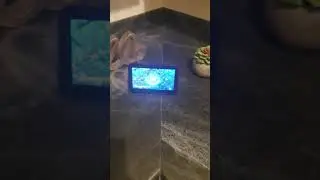 alexa no tiene Madre le responde a siri. #shorts #alexa #siri
