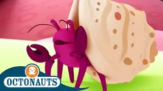 ‪@Octonauts‬