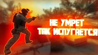 НЕ УМРЕТ ТАК ИСПУГАЕТСЯ! | НАРЕЗКИ КС ГО, СМЕШНЫЕ МОМЕНТЫ CS:GO, FUNNY MOMENTS