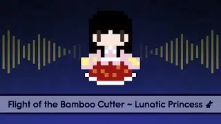 【Touhou Lyrics】 Flight of the Bamboo Cutter ~ Lunatic Princess