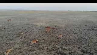 1 августа 2024 г.