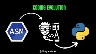 Code Evolution: Assembly to Python