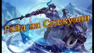 Гайд на Седжуани. Патч 9.10.(Актуален 9.15)