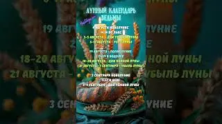 Лунный календарь АВГУСТ 2024✨ВЕДЬМИН календарь с 4.08.24 до 3.09.24 #новолуние #магическийкалендарь
