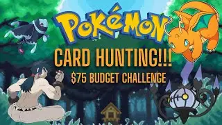 $75 Dollar Budget Challenge | POKEMON HUNTING 