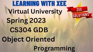 CS304 GDB Spring 2023 Virtual University of Pakistan