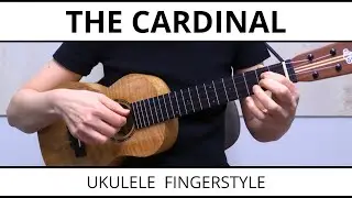 The Cardinal - Original Fingerstyle Ukulele