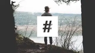 August and After - Wolves