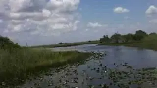 Florida Everglades