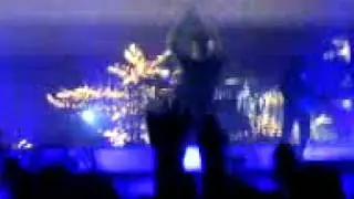 Palace & Main live