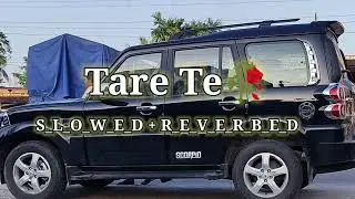 Tare Te || Slowed + Reverbed #slowed