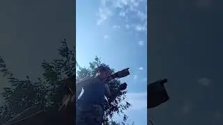 ЯК вигнати ПЧЕЛ